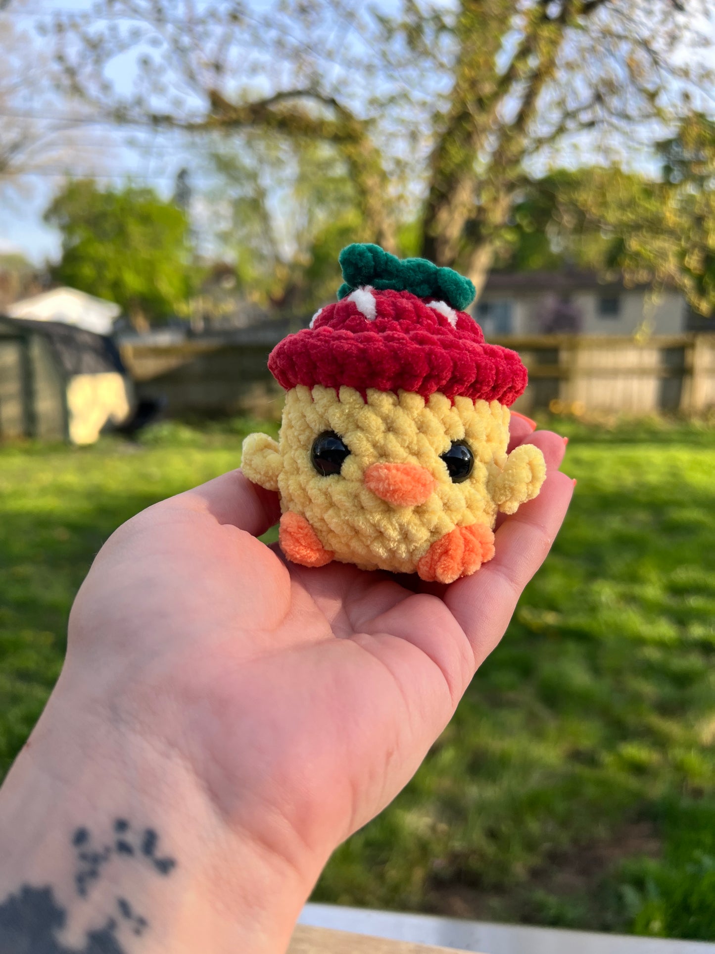 Small ducks with hats