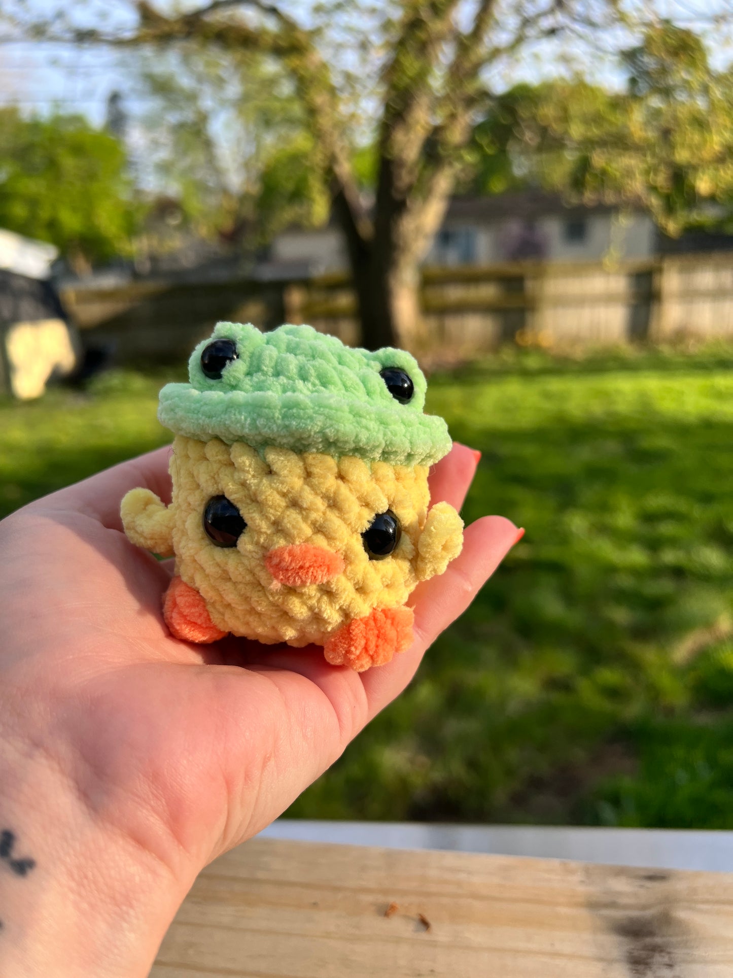 Small ducks with hats