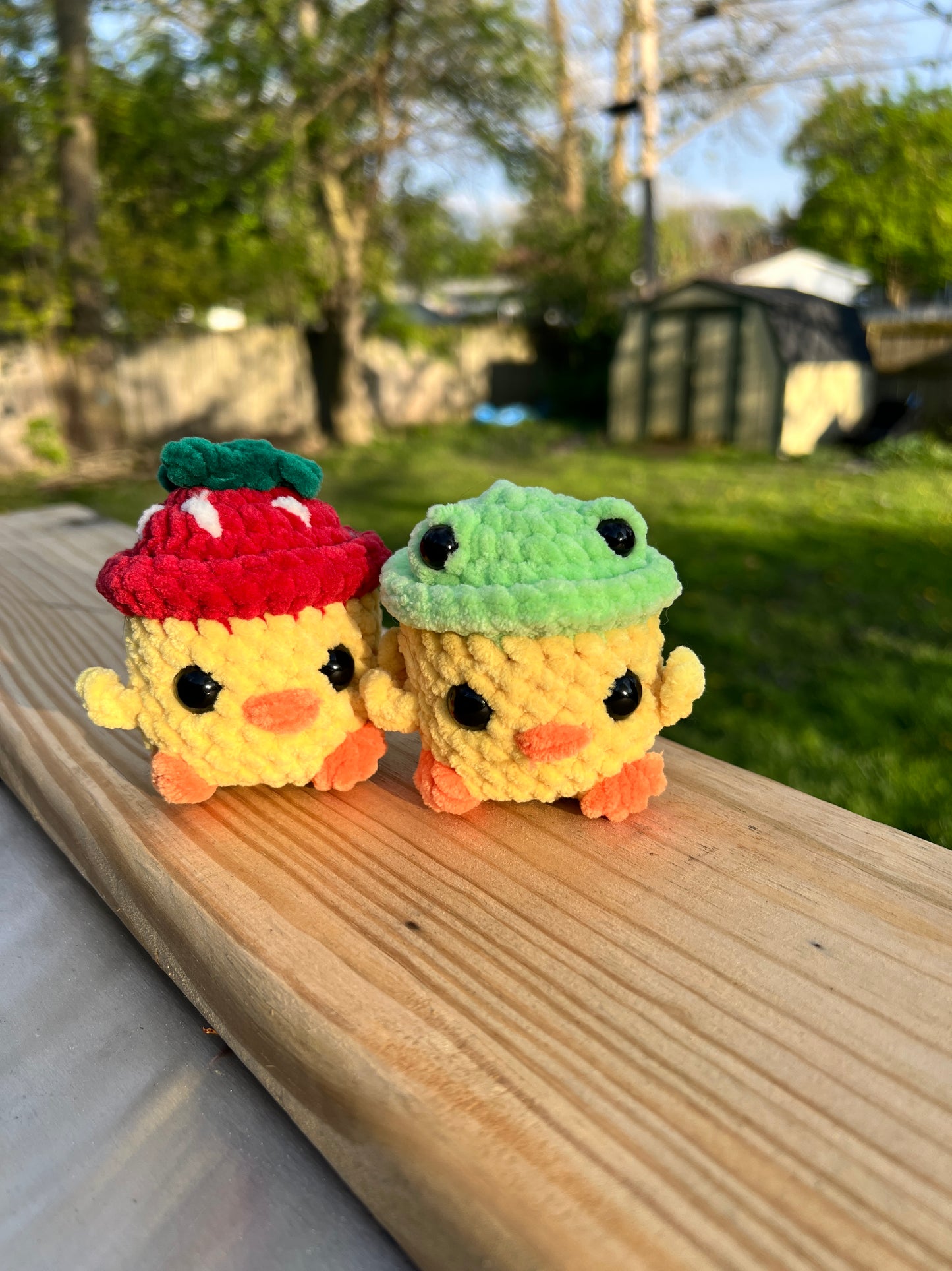 Small ducks with hats